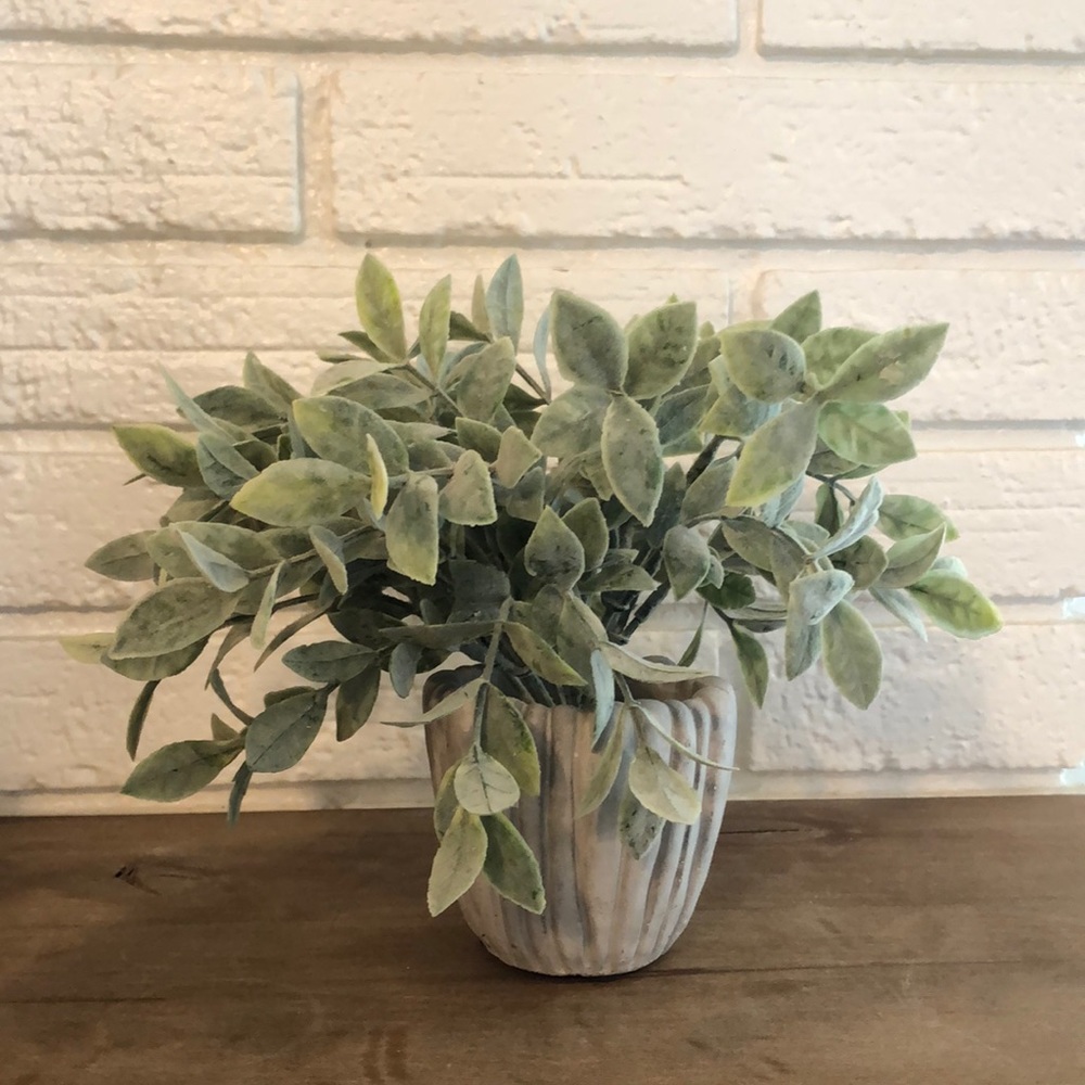 Faux Dusted Eucalyptus Plant
